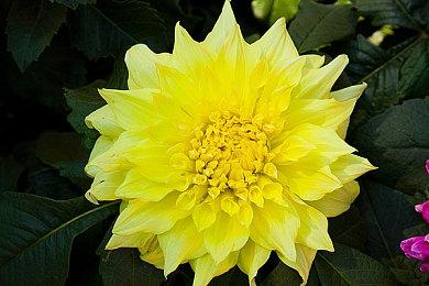 与《上古4：重制版》撞车 《创伤后》宣布6月重新发售